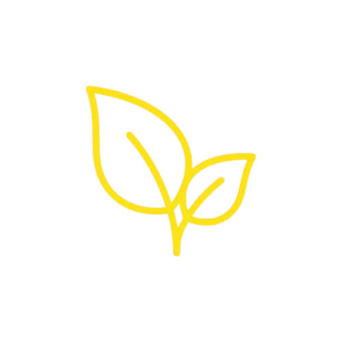 Eco-friendly icon